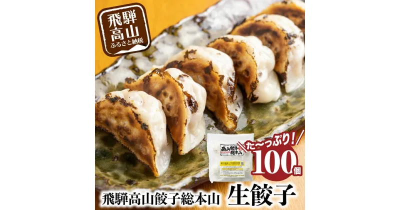 【ふるさと納税】飛騨高山餃子 餃子 100個入り ＜ 生冷凍餃子 ＞ ぎょうざ ギョーザ 冷凍 冷凍餃子 簡易包装 業務用 惣菜 ニラ 豚肉 大容量 TR3493