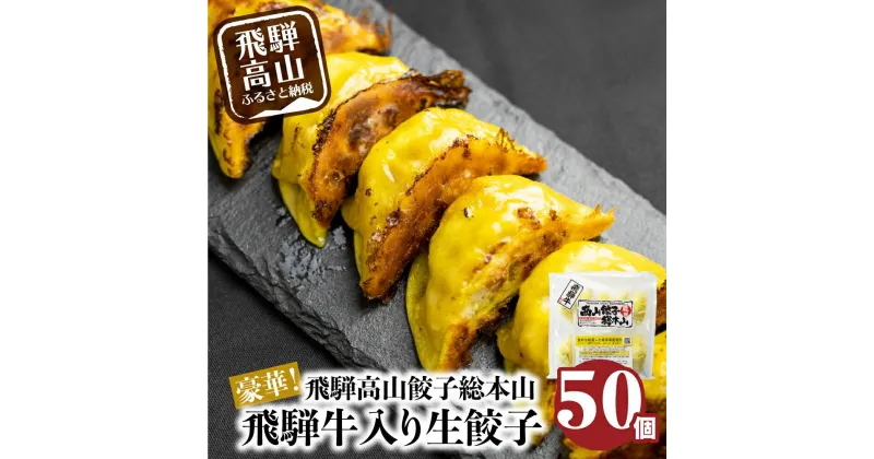 【ふるさと納税】豪華！ 飛騨餃子 ファミリーパック 50個入り ＜ 生冷凍餃子 ・ 簡易包装 ＞ ぎょうざ ギョーザ 冷凍 冷凍餃子 飛騨高山 業務用 大容量 ニラ 飛騨牛 お取り寄せ 酒 つまみ FN004