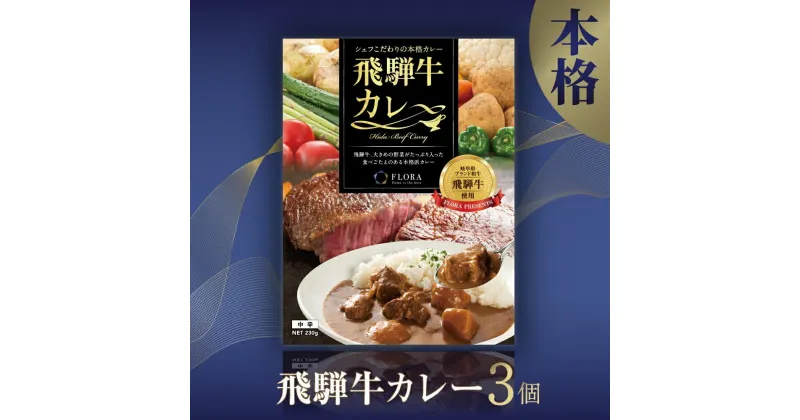 【ふるさと納税】本格飛騨牛レトルトカレー 230g×3個 | 飛騨牛 レトルトカレー 贅沢 カレー 本格 中辛 ビーフカレー 便利 簡単調理 高山市 高山フローラ EY003