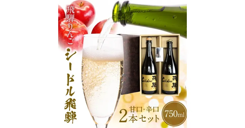 【ふるさと納税】飛騨りんご お酒 シードル 飛騨 辛口・甘口 2本セット スパークリング スパークリングワイン 果実酒 りんご リンゴ ワイン セット 化粧箱入り プレゼント 木戸脇果樹園 飛騨 辛口 FP003