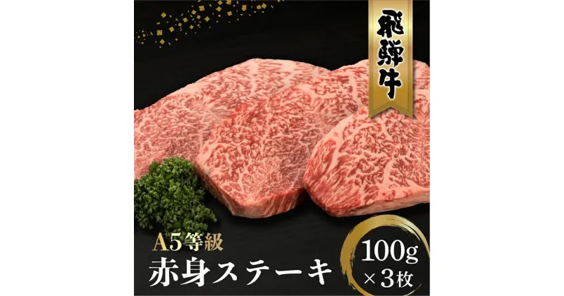 【ふるさと納税】飛騨牛 A5等級 もも肉 ステーキ 100g×3枚 | 黒毛和牛 ブランド和牛 牛肉 A5ランク 飛騨高山 ながせ食品 FH015VP