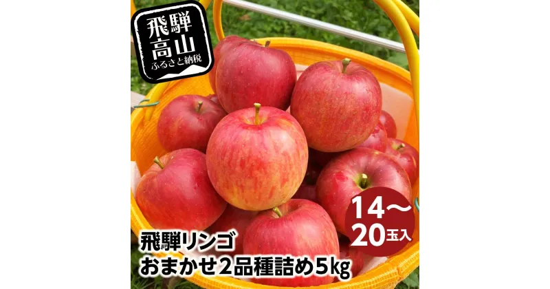 【ふるさと納税】飛騨リンゴ 5kg 14-20玉入り おまかせ2品種 食べ比べ 果物 りんご フルーツ 飛騨高山 9月 10月 11月 季節もの ぜんぞう果樹園 FX004 | 林檎 果物 くだもの フルーツ 期間限定 人気 おすすめ アップル 食べ比べ グルメ 数量限定