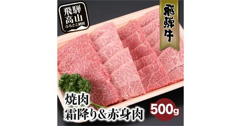 【ふるさと納税】飛騨牛 みすじ ウデ 焼肉 500g 盛り合わせ ( 赤身 & 霜降り ) 牛 黒毛和牛 国産牛 肉 ブランド牛 飛騨高山 飛騨牛のこもり FC032