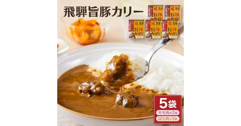 【ふるさと納税】お肉ゴロゴロ 飛騨旨豚カレー 5食 (モモ肉×2食、ばら肉×3食) | 2種 ブランド豚 レトルトカレー 豚カレー ポークカレー 豚肉カレー 豚肉 詰め合わせ ご当地カレー 食べ比べ さるぼぼ ご当地 飛騨高山 (有)オリジナル AK004