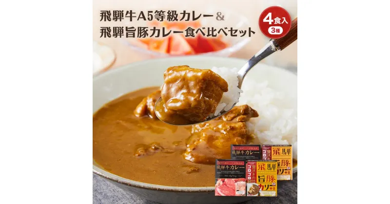 【ふるさと納税】飛騨牛A5等級カレー（2食）＆ 飛騨旨豚カリー（バラ1食・もも1食）食べ比べセット | 牛カレー 豚カレー 飛騨牛 A5 飛騨旨豚 カレー ビーフ ポーク 豚 牛 ご当地カレー 飛騨高山 (有)オリジナル AK005