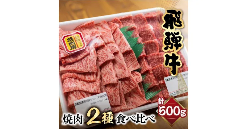 【ふるさと納税】飛騨牛 ロース・もも 焼肉 盛り合わせ 500g 和牛 黒毛和牛 焼肉セット お肉 お取り寄せ 山武商店 LZ003