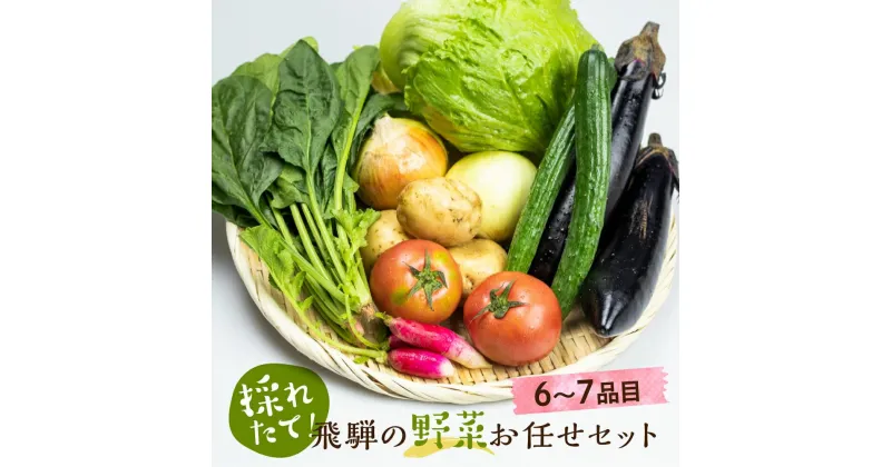 【ふるさと納税】【2024年予約受付】飛騨 野菜セット 6〜7点 飛騨高山産 野菜 秋野菜 おまかせ お取り寄せ 新鮮 産地直送 飛騨産 夏 秋 秋野菜 サラダ あじかファミリー TR3076