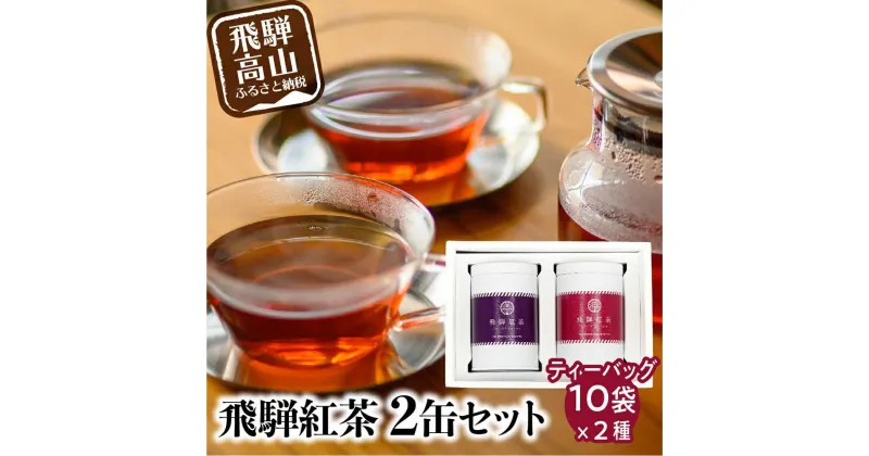 【ふるさと納税】なべしま銘茶 飛騨紅茶 TB缶2本セット 紅茶 茶 ティーバッグ べにふうき 一番茶 ファーストフラッシュ 二番茶 セカンドフラッシュ 奥飛騨温泉 奥飛騨 国産茶葉 国産 TR3156