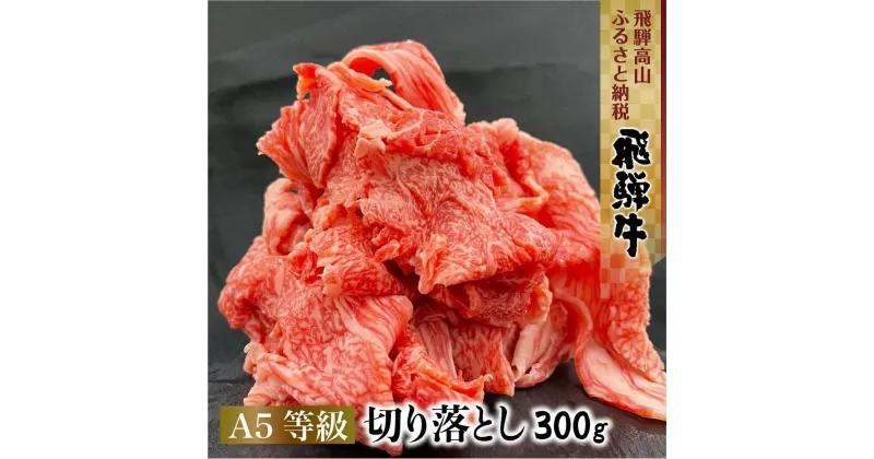 【ふるさと納税】飛騨牛 A5等級 切り落とし 300g | 小間切れ A5ランク A5 5等級 肉 黒毛和牛 ブランド牛 飛騨高山 ながせ食品 FH001VP