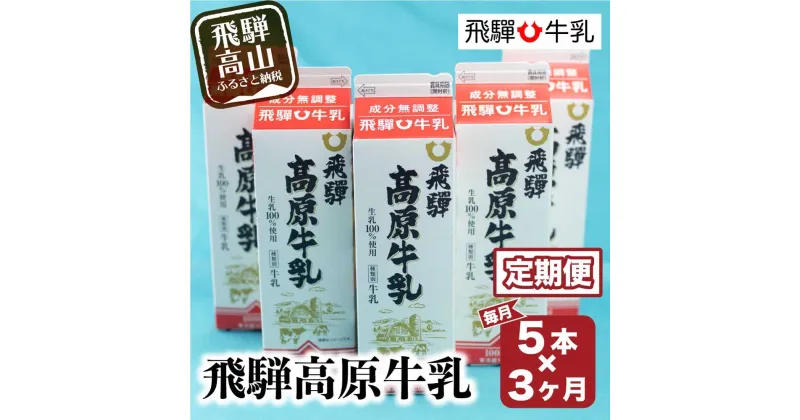 【ふるさと納税】牛乳 定期便 15本 ( 1L × 5本 × 3ヶ月 ) 飛騨牛乳 岐阜 高山市 飛騨高山 岐阜県 | 1000ml 送料無料 お取り寄せ 人気 お楽しみ おすすめ