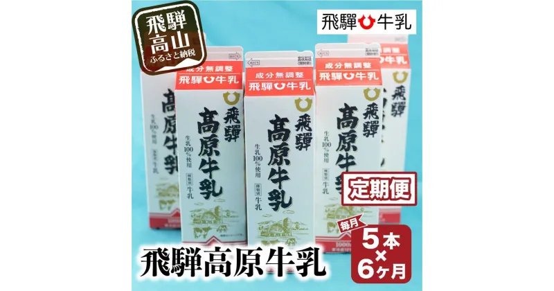 【ふるさと納税】牛乳 定期便 30本 ( 1L × 5本 × 6ヶ月 ) 飛騨牛乳 岐阜 高山市 飛騨高山 岐阜県 | 1000ml 送料無料 お取り寄せ 人気 お楽しみ おすすめ