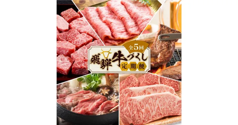 【ふるさと納税】定期便 飛騨牛づくし 全5回 ( すき焼き / ステーキ / 焼肉 / しゃぶしゃぶ ) 計2.1kg | 肉 5ヶ月 牛肉 肉 豚肉 お楽しみ 食べ比べ サーロイン サイコロ 赤身 A5等級 和牛 黒毛和牛 肉定期便 岐阜 高山 BBQ 人気 おすすめ ZZ005MP