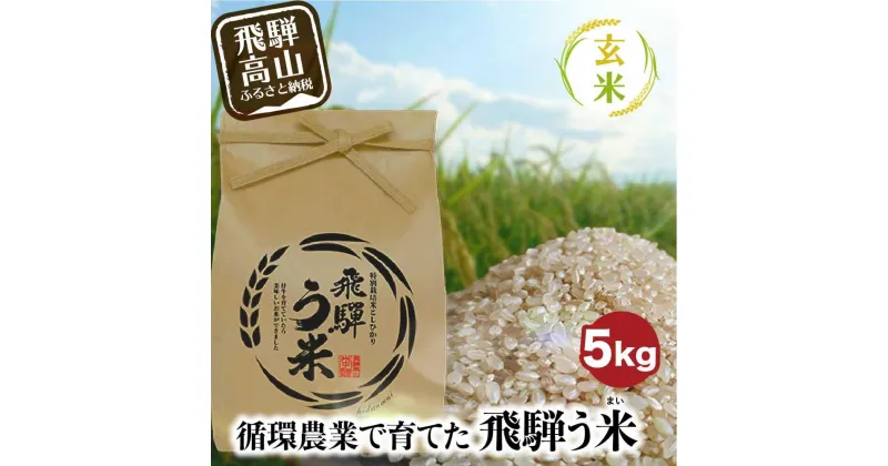 【ふるさと納税】【数量限定/先行受付】令和6年産 飛騨う米 玄米 5kg | 有機肥料100％ 米 お米 受賞米 米コン3年連続特別優秀賞受賞米 飛騨高山 株式会社拳 TR3201