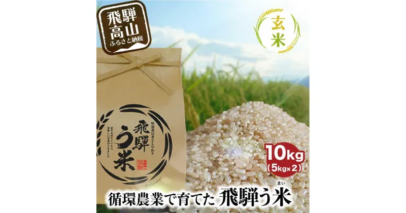 【ふるさと納税】【数量限定/先行受付】令和6年産 飛騨う米 玄米 10kg | 有機肥料 100％ 米 お米 受賞米 米コン3年連続特別優秀賞受賞米 飛騨高山 株式会社拳 TR3202