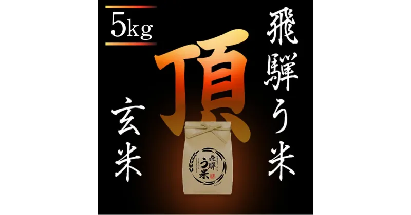 【ふるさと納税】【数量限定/先行受付】令和6年産 飛騨う米『頂』玄米 5kg | 有機肥料 100％ 米コン3年連続特別優秀賞受賞 米 こしひかり コシヒカリ 飛騨高山 株式会社拳 TR3320