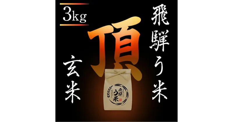 【ふるさと納税】【数量限定/先行受付】令和6年産 飛騨う米『頂』玄米3kg | 有機肥料 100％ 米コン3年連続特別優秀賞受賞 米 コシヒカリ こしひかり 飛騨高山 株式会社拳 TR3321