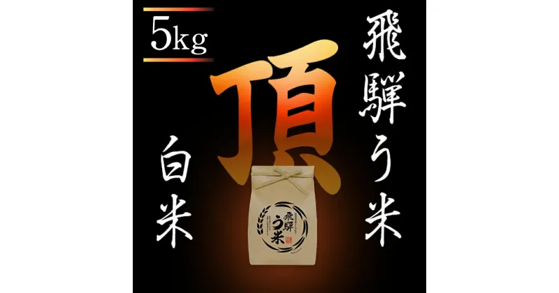 【ふるさと納税】【数量限定/先行受付】令和6年産 飛騨う米『頂』5kg | 白米 飛騨コシヒカリ 米 飛騨高山 コシヒカリ 飛騨高山 株式会社拳 TR3348