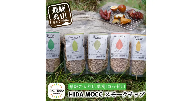 【ふるさと納税】HIDA MOCC飛騨の広葉樹100％ 燻製チップ 100g×5種 詰め合わせ ナラ ブナ クリ ヤマザクラ マクルミ スモーク アウトドア 燻製 お手軽 TR3339