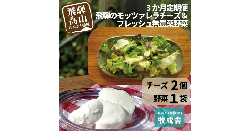 【ふるさと納税】【3ヶ月 定期便】飛騨の新鮮モッツァレラ＆フレッシュ野菜 セット 3回お届け モッツァレラチーズ 野菜 チーズ ミックスリーフ 無農薬野菜 無農薬 牧成舎 飛騨高山 DF100 お楽しみ