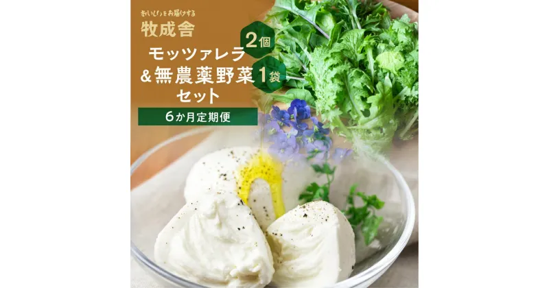 【ふるさと納税】【 6ヶ月 定期便 】飛騨の新鮮モッツァレラ＆フレッシュ野菜 セット 6回お届け モッツァレラチーズ 6回 半年 チーズ ミックスリーフ 無農薬野菜 無農薬 牧成舎 飛騨高山 DF101 お楽しみ