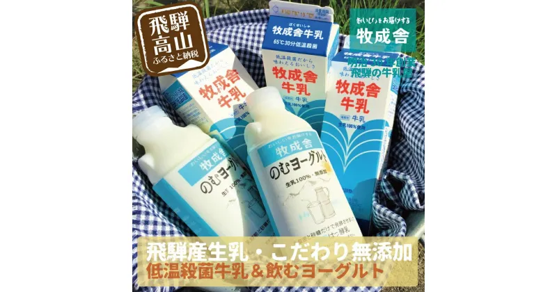 【ふるさと納税】飛騨の牛乳屋こだわり 牛乳 3本 飲むヨーグルト 2本 セット 低温殺菌 無添加 牧成舎 飛騨高山 TR3333