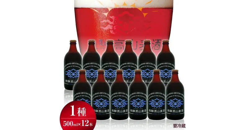 【ふるさと納税】飛騨高山麦酒 ダークエール 12本セット 500ml×12 地ビール ビール 麦酒 クラフトビール 飛騨高山 瓶ビール ビンビール TR3382