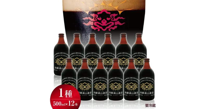 【ふるさと納税】飛騨高山麦酒 スタウト 12本セット 500ml×12本 地ビール ビール 麦酒 クラフトビール 飛騨高山 瓶ビール ビンビール 3 TR3383