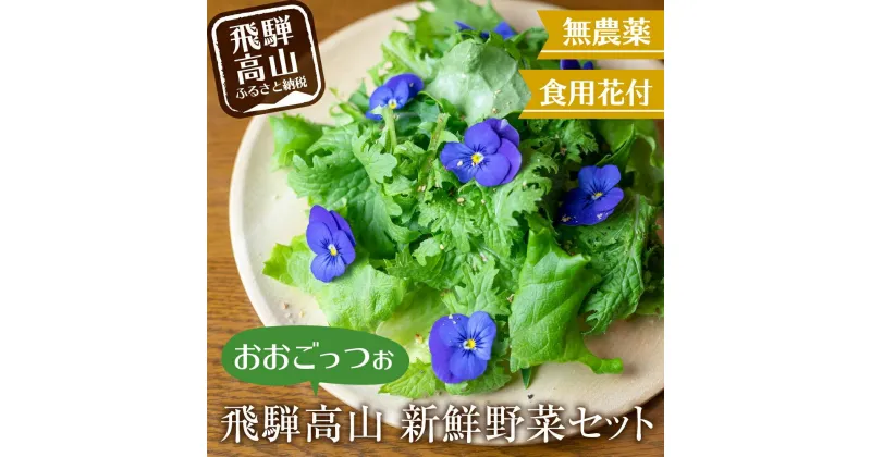 【ふるさと納税】飛騨高山野菜『おおごっつぉ』詰合せ 葉物野菜 葉物 ミックスリーフ わさびな フラワーサラダ 無農薬野菜 無農薬 TR3645