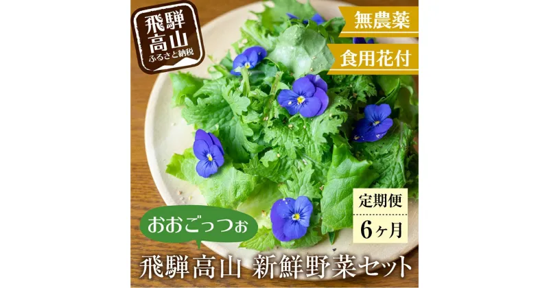 【ふるさと納税】【定期便6回】飛騨高山野菜『おおごっつぉ』詰合せ 葉物野菜 葉物 ミックスリーフ わさびな フラワーサラダ 無農薬野菜 無農薬 HS100