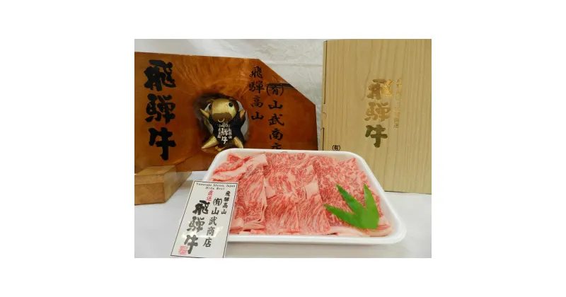 【ふるさと納税】【高島屋選定品】飛騨牛 ロース 焼肉用 500g 和牛 ロース焼肉用 ロース 焼肉用 (株)高島屋 TR3549