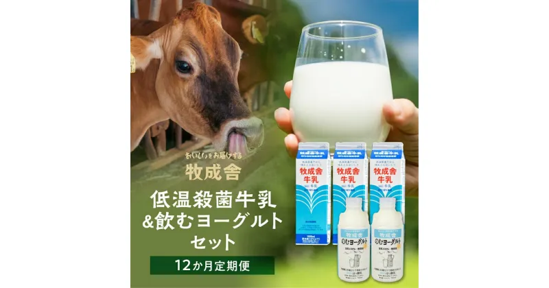 【ふるさと納税】牛乳 飲むヨーグルト 定期便 12ヶ月 セット ( 牛乳3L 飲むヨーグルト1.5L ) 牧成舎 岐阜 高山市 飛騨高山 岐阜県 | 送料無料 お取り寄せ 人気 お楽しみ おすすめ