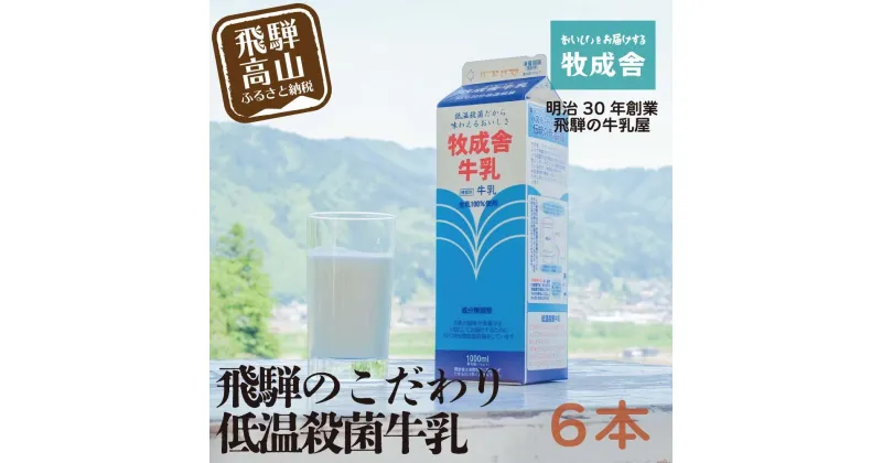 【ふるさと納税】飛騨産生乳100％！美味しい低温殺菌牛乳6本 乳製品 牛乳 牧成舎 TR3746