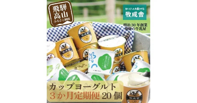 【ふるさと納税】【定期便3か月】飛騨のカップヨーグルト20個セット 毎月1回お届け 乳製品 ヨーグルト2種類 セット 詰合せ 牧成舎 DF108 お楽しみ