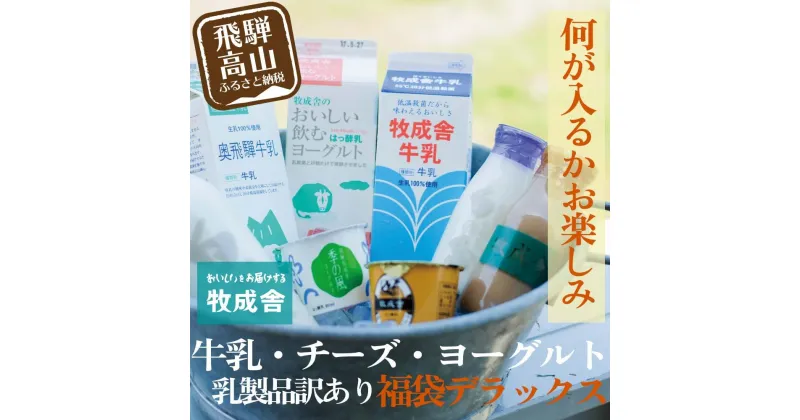 【ふるさと納税】訳あり 乳製品 福袋 デラックスセット 乳製品 ヨーグルト 牛乳 種類おまかせ セット 詰合せ 牧成舎 DF004