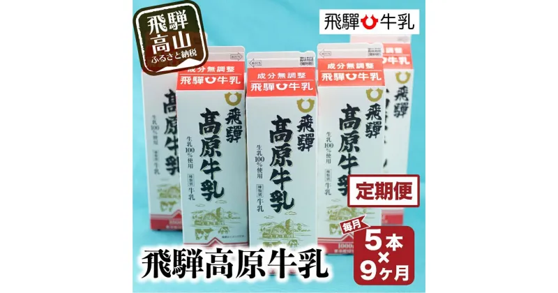 【ふるさと納税】牛乳 定期便 45本 ( 1L × 5本 × 9ヶ月 ) 飛騨牛乳 岐阜 高山市 飛騨高山 岐阜県 | 1000ml 送料無料 お取り寄せ 人気 お楽しみ おすすめ