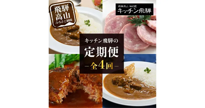 【ふるさと納税】【定期便】人気のお肉レトルト商品詰め合わせ 全4回お届け | キッチン飛騨 4か月 定期 カレー ハムセット ハンバーグ 缶詰 食品 冷凍 ビーフ ポーク カレー ビーフシチュー ハヤシビーフ 飛騨牛 老舗 名店 飛騨高山 飛騨ハム TR3916