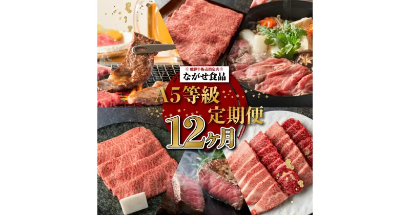 【ふるさと納税】A5ランク 飛騨牛 定期便 12回 食べ尽くし ( 焼肉 すき焼き しゃぶしゃぶ ステーキ ヒレステーキ ) 12ヶ月 肉 飛騨牛 定期便 約4.96kg 牛肉 食べ比べ 人気 お楽しみ おすすめ 岐阜県 高山市 飛騨高山 ながせ食品 FH103