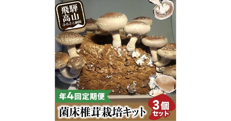 【ふるさと納税】【定期便 年4回】 菌床椎茸栽培キット 3個 （3ヶ月おきにお届け 全4回）| しいたけ シイタケ 椎茸 栽培キット きのこ 栽培 菌床 しいたけ菌 椎茸菌 栽培ブロック 採れたて とれたて 夏休み 自由研究 園芸 食育 飛騨高山きのこの里 GK102