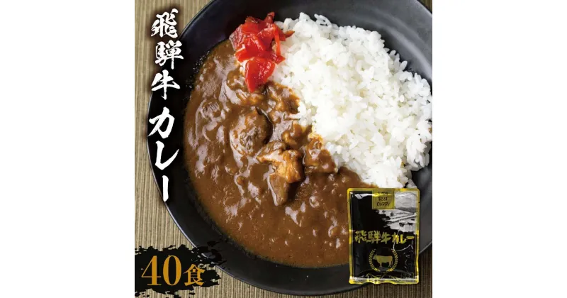 【ふるさと納税】飛騨牛カレー (40袋) | 訳あり 飛騨牛 肉 牛 カレー ビーフカレー 簡易包装 レトルトカレー ご当地カレー 人気 おすすめ おいしい 便利 飛騨高山 ふるさと清見 DC009VP