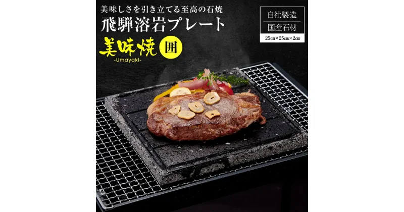 【ふるさと納税】【飛騨溶岩プレート】美味焼【囲】お肉やお野菜が美味しく焼ける！ アウトドア専用 専用 屋外 専用 溶岩石 飛騨高山 砂原石材 TR4105