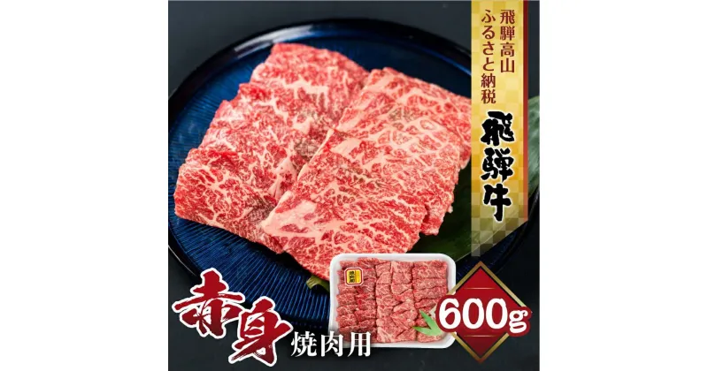 【ふるさと納税】飛騨牛 もも 焼肉用 600g 肉 ブランド牛 黒毛和牛 もも肉 飛騨高山 山武商店 TR3971