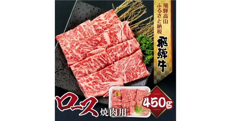 【ふるさと納税】飛騨牛 ロース 焼肉 450g 霜降り ブランド牛 肉 黒毛和牛 飛騨高山 山武商店 TR3974