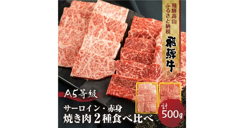 【ふるさと納税】2種食べ比べ焼肉！飛騨牛 A5等級 ( サーロイン250g＋赤身もも 250g) 500g 丹生川精肉 JJ003VP