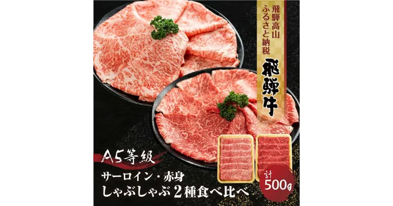 【ふるさと納税】2種食べ比べしゃぶしゃぶ！飛騨牛 A5等級 ( サーロイン 250g / もも 250g ) 500g 丹生川精肉 JJ006VP