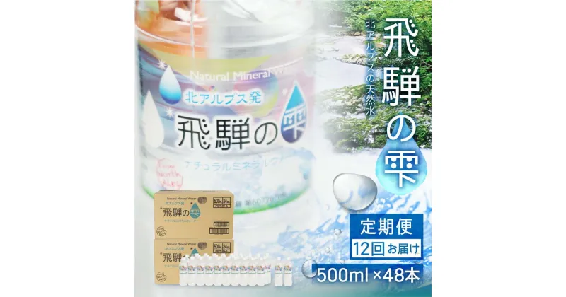 【ふるさと納税】【12回　定期便】天然水　飛騨の雫　500ml×48本　(2ケース)　 12ヶ月 水 ペットボトル 飲料水 500ミリリットル 白啓酒店 飛騨高山 JS103 お楽しみ