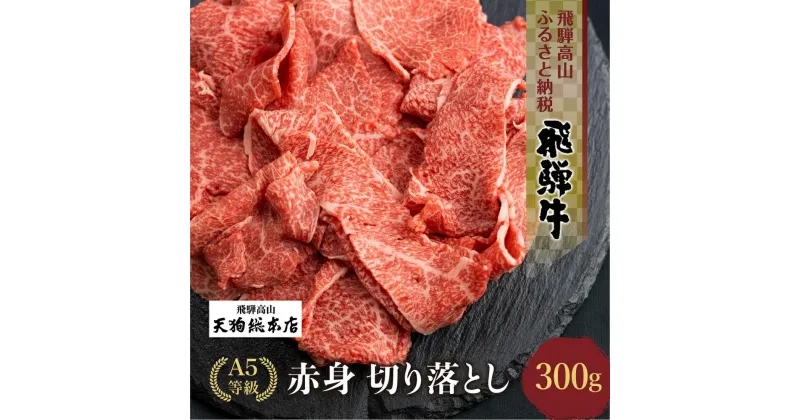 【ふるさと納税】A5等級 飛騨牛 切り落とし 300g 【日付指定不可】 ブランド牛 雌牛 5等級 A5ランク 切落し 薄切り 天狗総本店 飛騨高山 熨斗 のし BP024VP