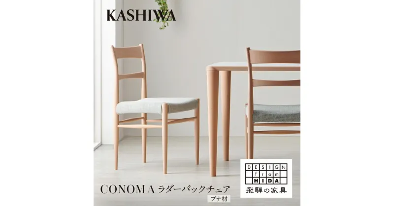 【ふるさと納税】【KASHIWA】CONOMA(コノマ) ラダーバックチェア カバーリング仕様 ダイニングチェア 飛騨の家具 椅子 いす 飛騨家具 家具 天然木 ブナ材 シンプル モダン 人気 おすすめ 新生活 一人暮らし 国産 柏木工 飛騨高山 AM018