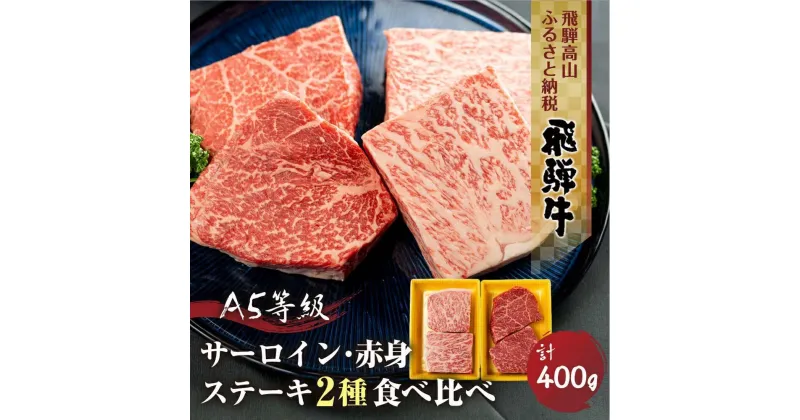 【ふるさと納税】2種食べ比べステーキ！ 飛騨牛 A5等級 ステーキ （サーロイン200g / もも200g ）400g 真空パック 丹生川精肉 JJ008VP