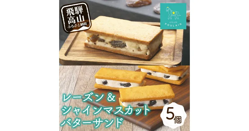 【ふるさと納税】【数量限定】 レーズンバターサンド 2個 シャインマスカット レーズンバターサンド 3個 詰め合わせ 洋菓子 お菓子 詰合せ 内祝い 贈答 熨斗 のし対応可 本郷 KB004