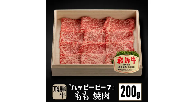 【ふるさと納税】飛騨牛 A5等級 【赤身】 もも肉 焼肉 200g 飛騨牛 ブランド牛 A5ランク ハッピープラス 飛騨高山 TR4084